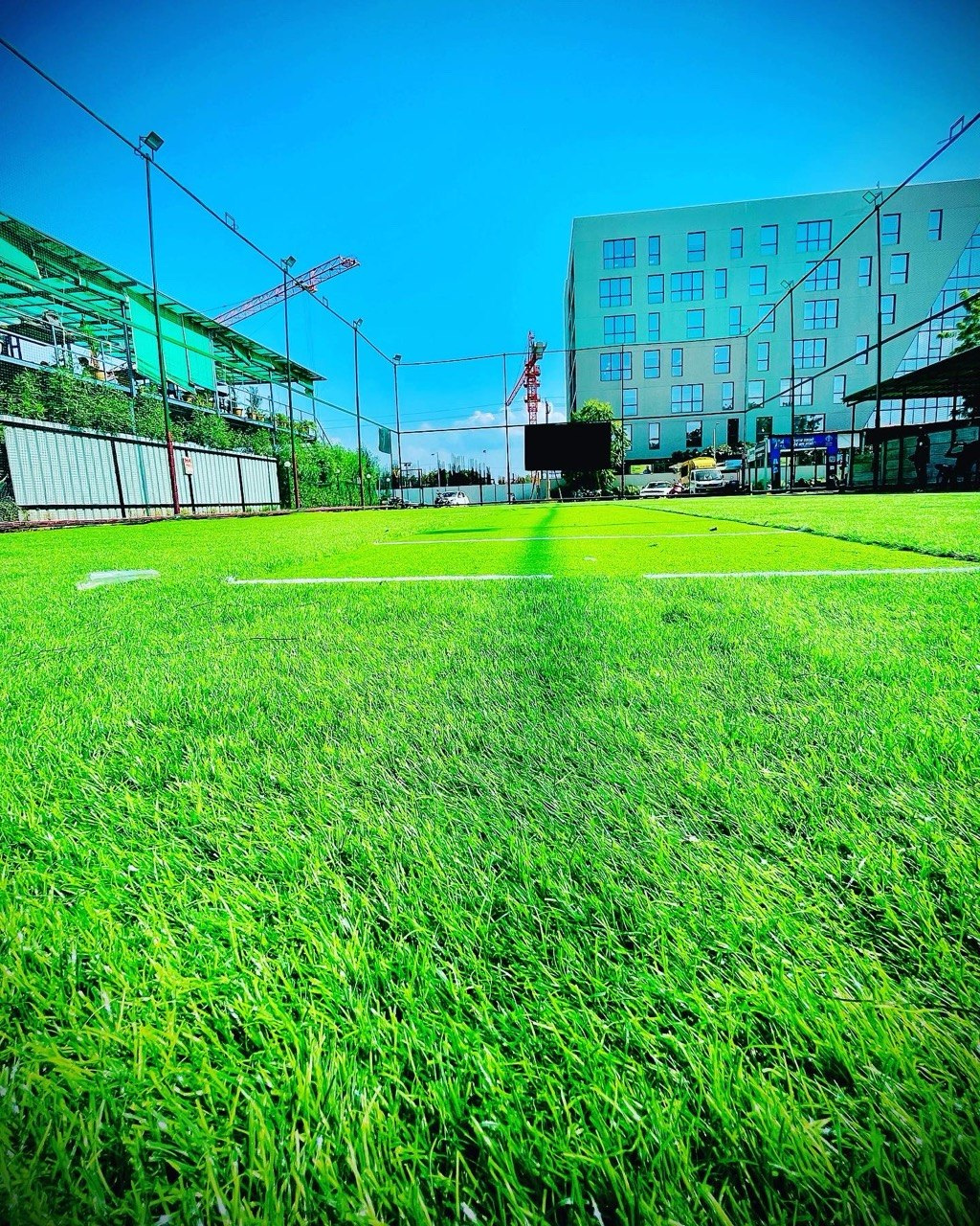 Residential turf