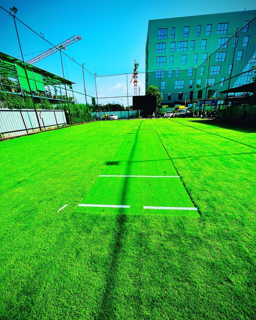 Residential turf